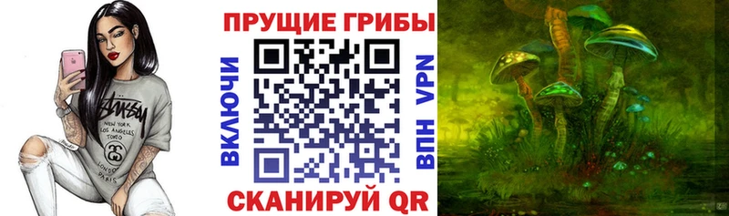 OMG ссылки  Бирюч  Галлюциногенные грибы ЛСД 